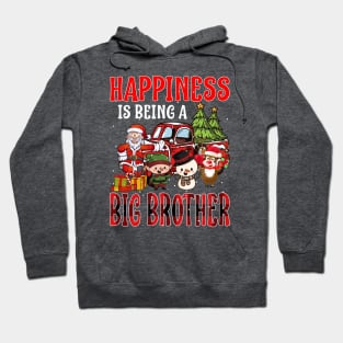 Happiness Is Being A Big Brother Christmas Hoodie